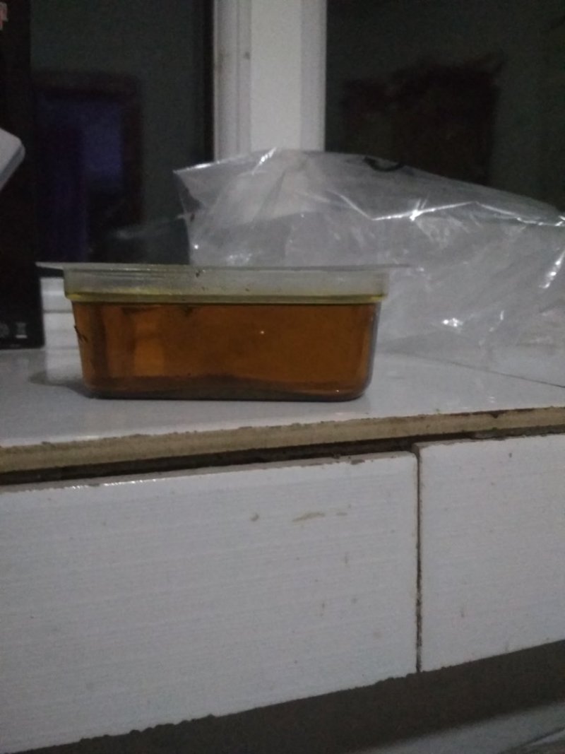 昭苏油菜籽
