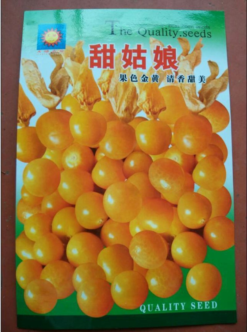 灯笼果苗当年结果品种纯正，成活率高，亩产效益高