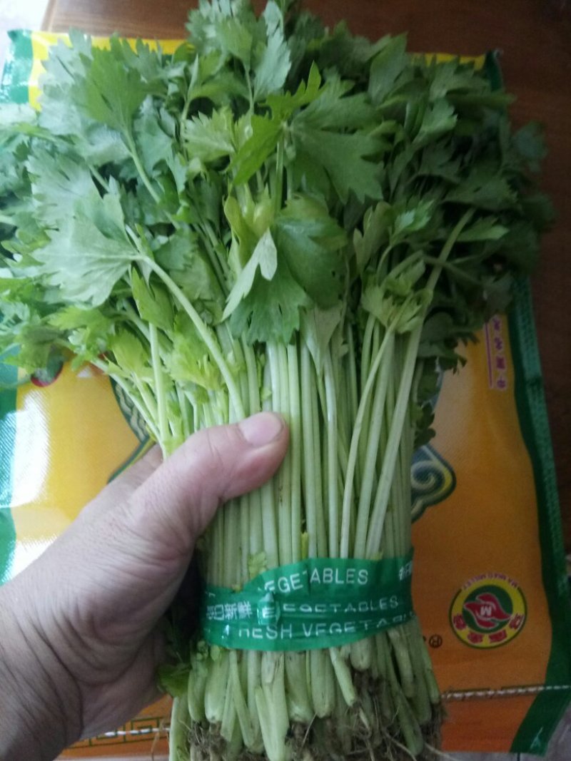山东野菜，特菜全年大量批发