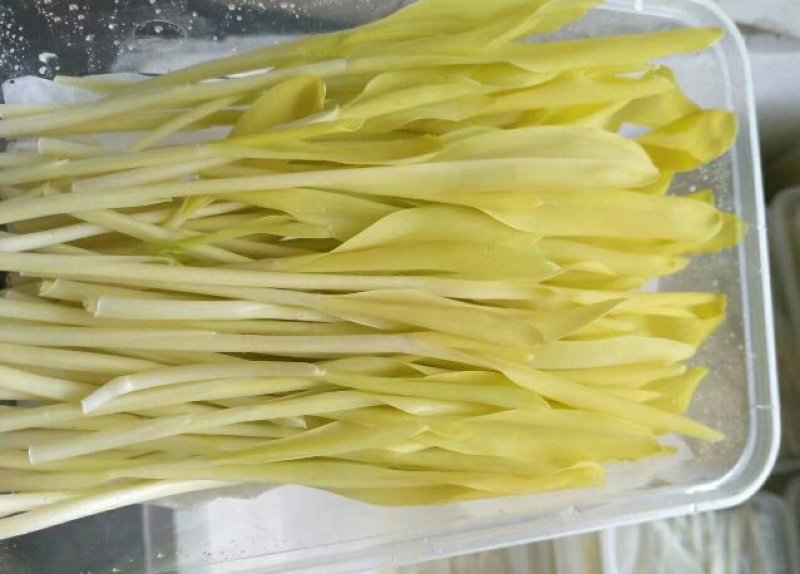 山东野菜，特菜全年大量批发