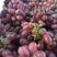 山西运城克伦生葡萄产地大量上市，口感甜脆，耐储耐存，。