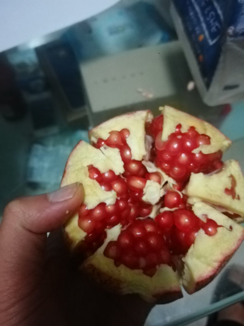 突尼斯软籽石榴苗大量供应优质石榴苗批发