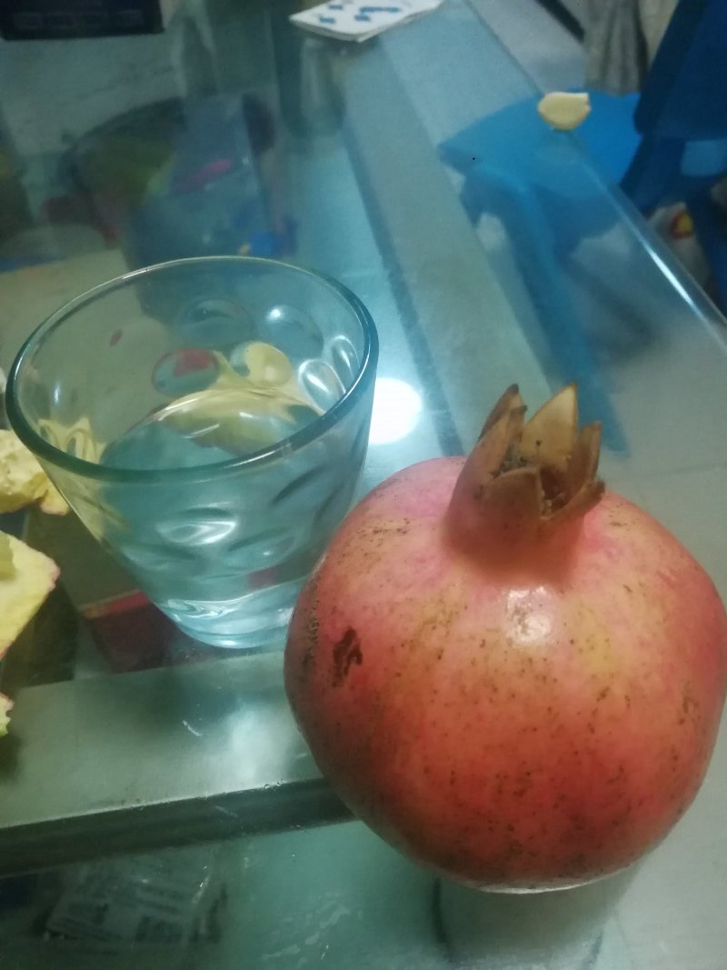突尼斯软籽石榴苗大量供应优质石榴苗批发
