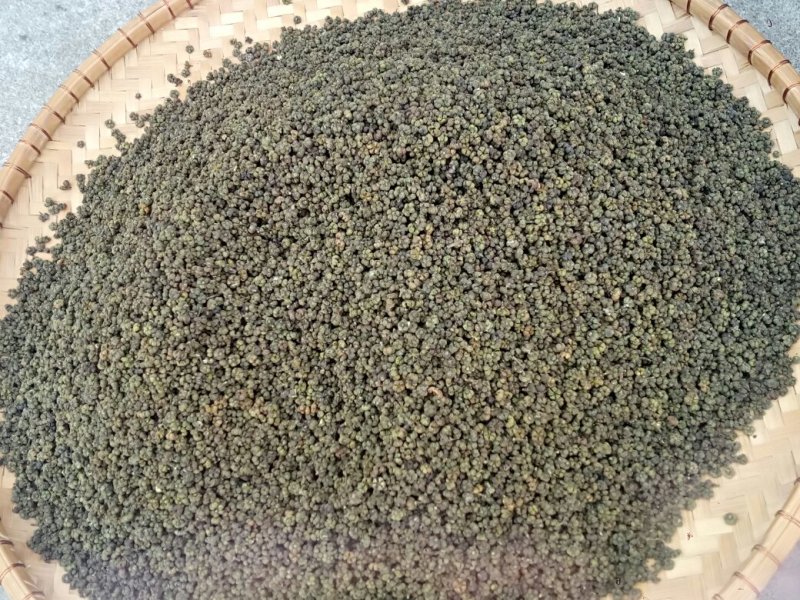 吴茱萸