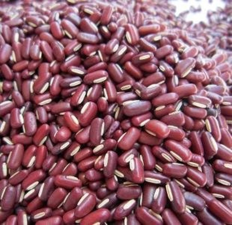 今年新药用赤小豆红小豆大量上市陆地自然成熟