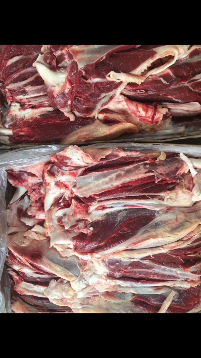 精品牛前腱大量有货，物美价廉，货源充足欢迎采购