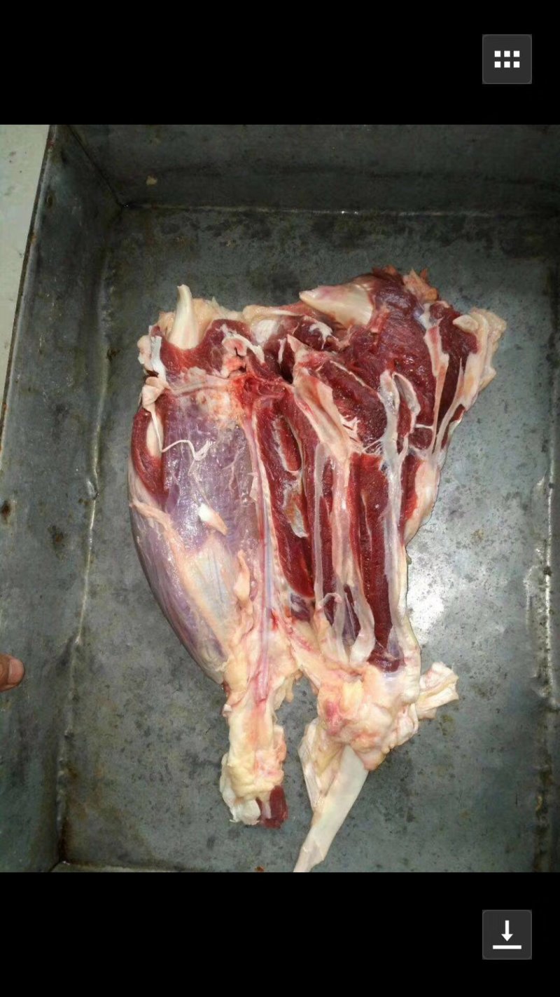 精品牛前腱大量有货，物美价廉，货源充足欢迎采购