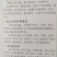 长白山蒲公英茶