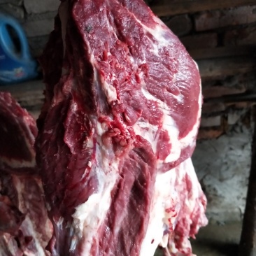 牛脸肉