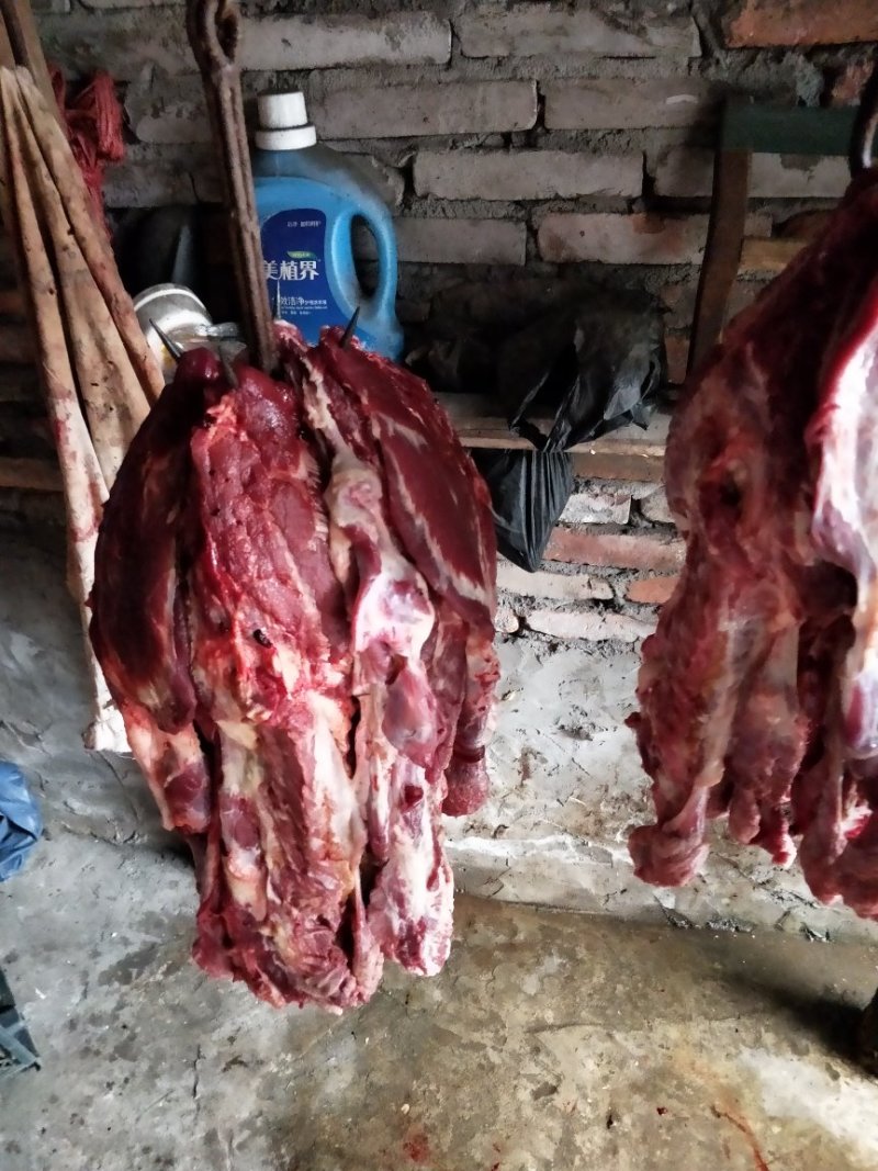 牛脸肉