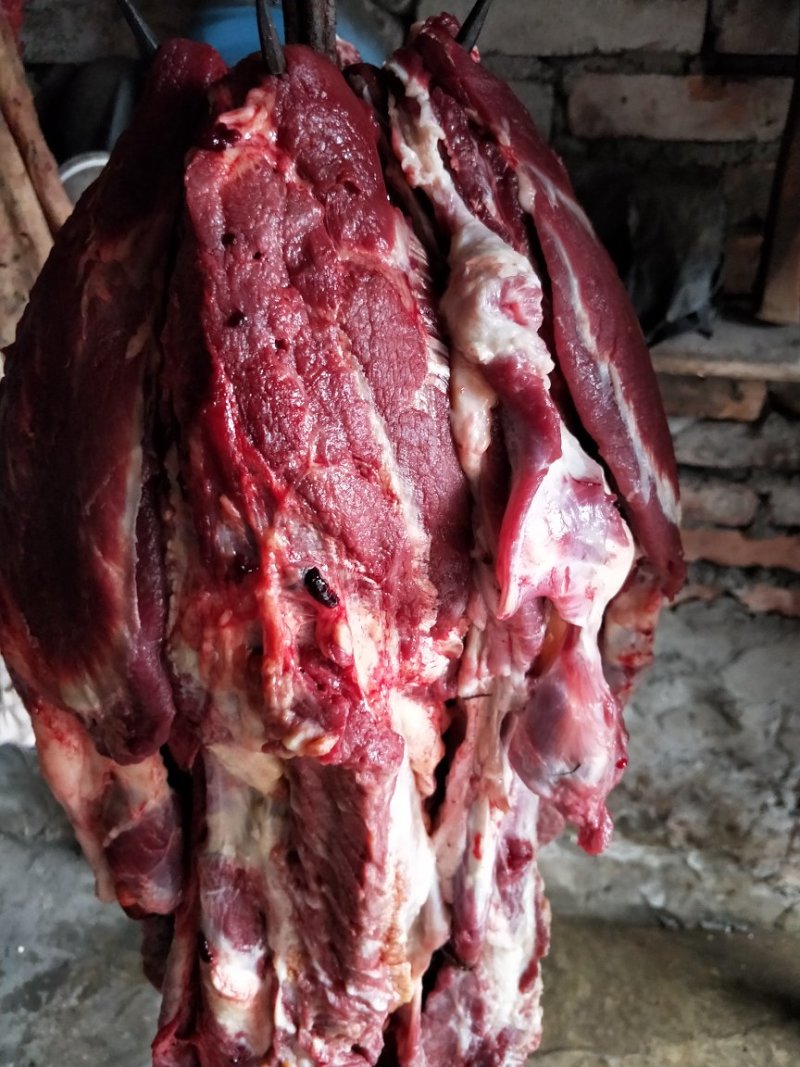 牛脸肉