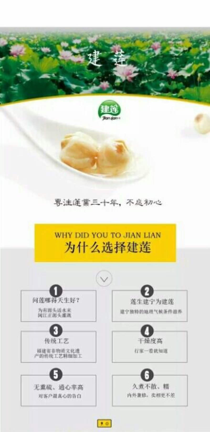 建莲绿色真空包装莲子500g袋装