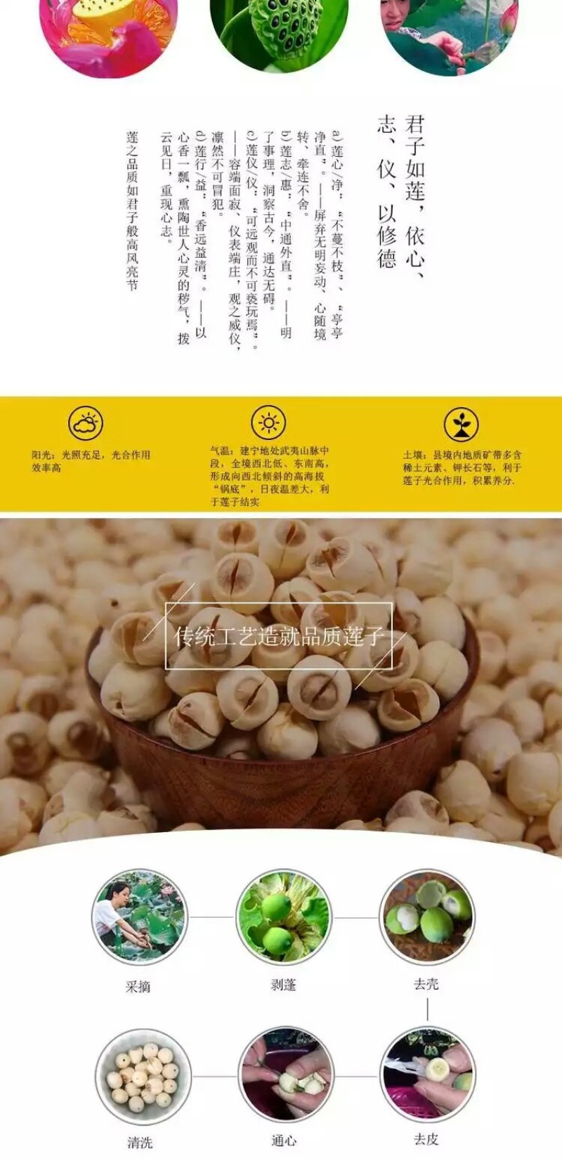 建莲绿色真空包装莲子500g袋装