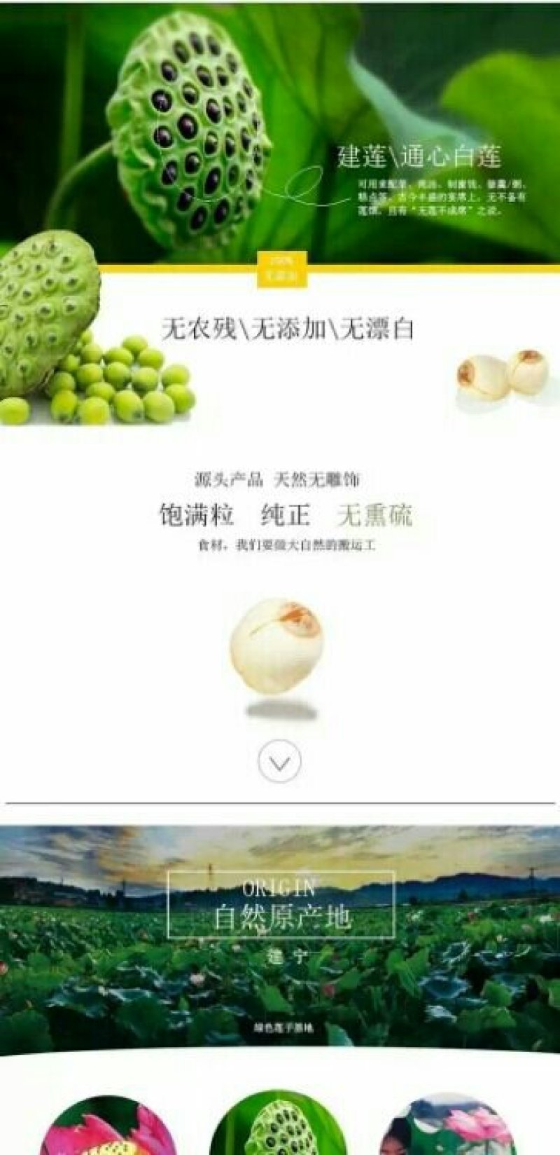 建莲有机莲子360g罐装
