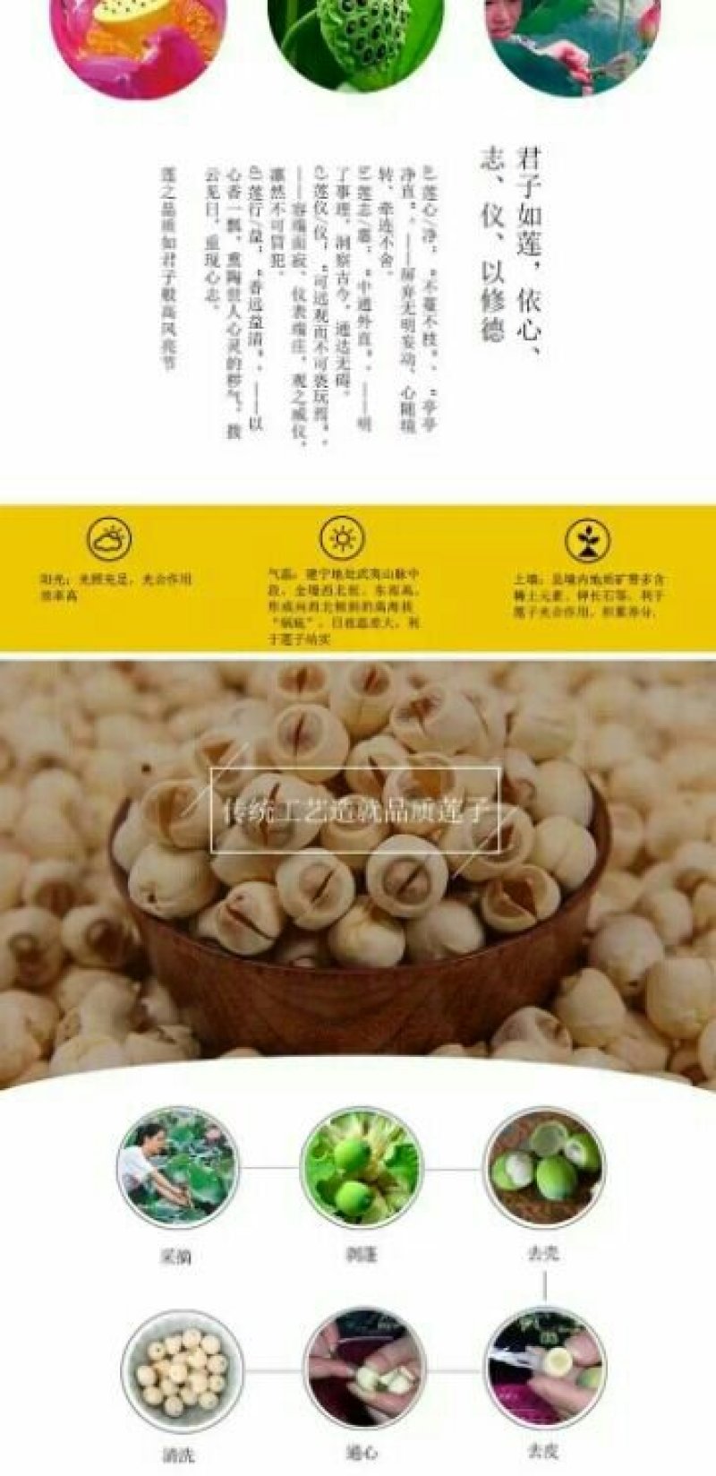 建莲有机莲子360g罐装