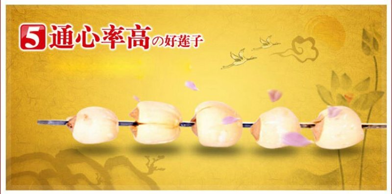 建莲有机莲子360g罐装