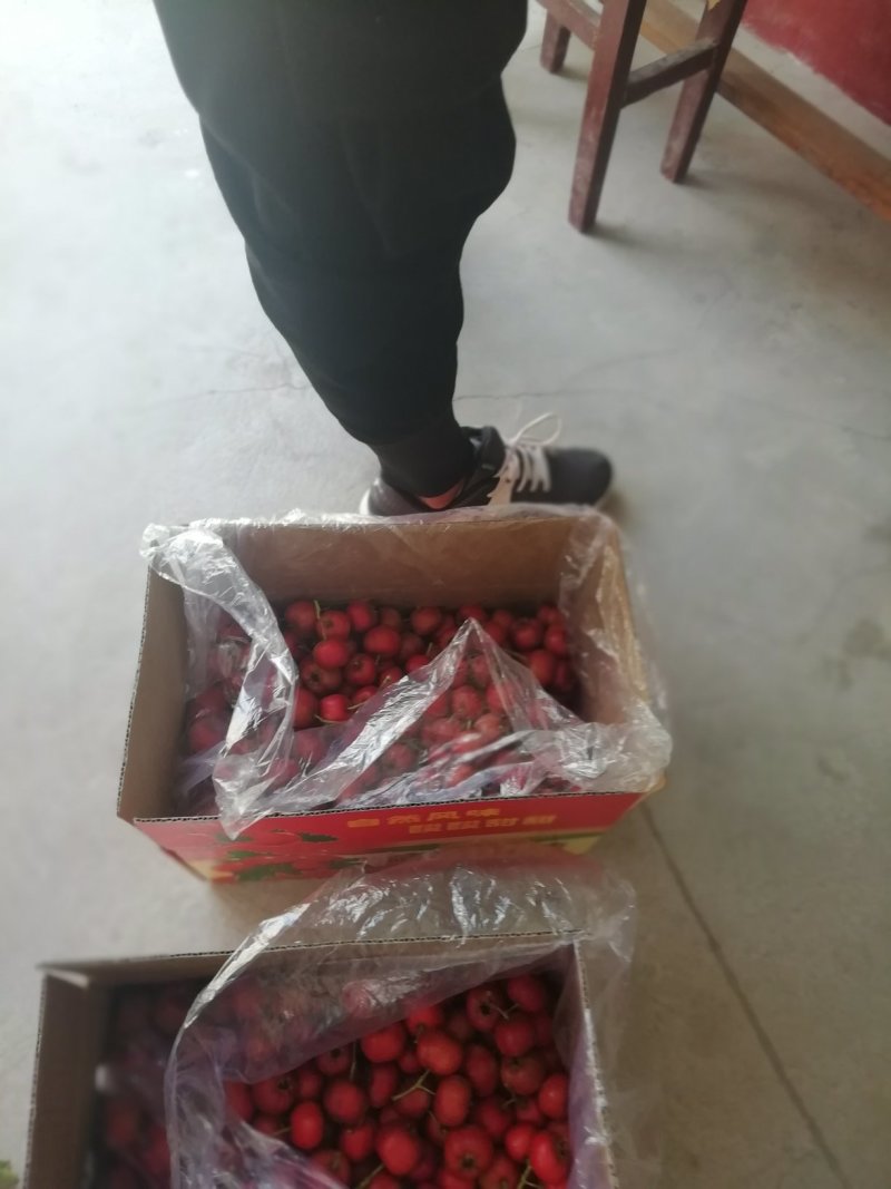 精品山楂果
