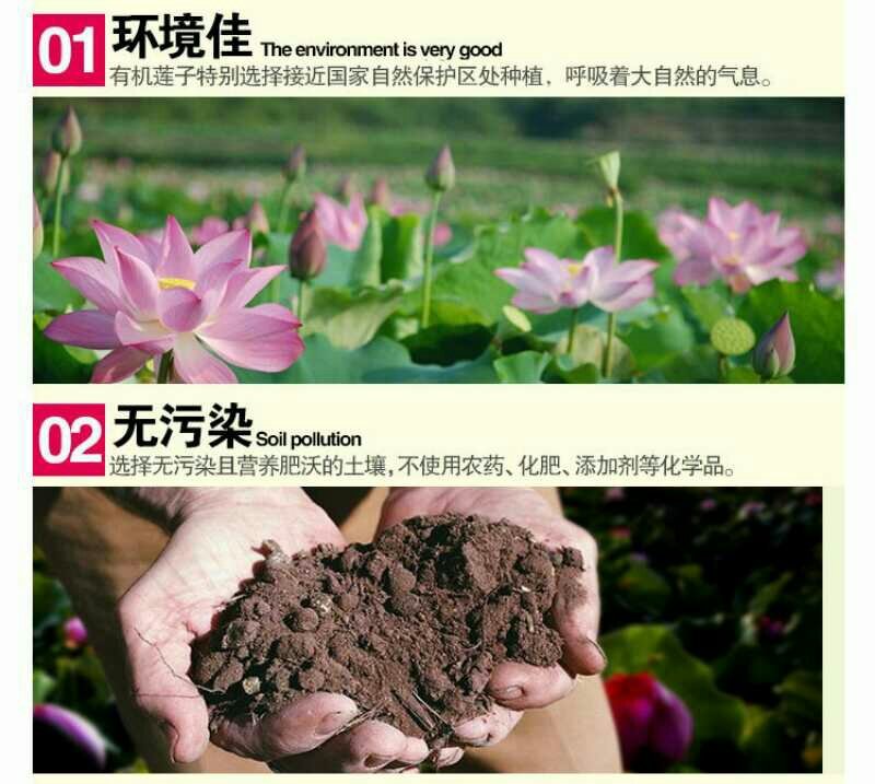 建莲有机莲子360g罐装