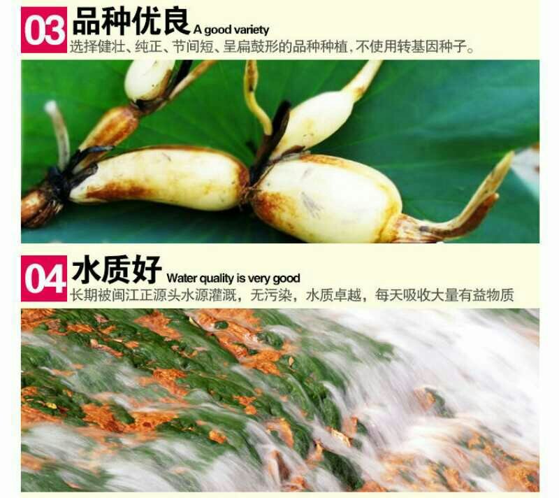 建莲有机莲子360g罐装