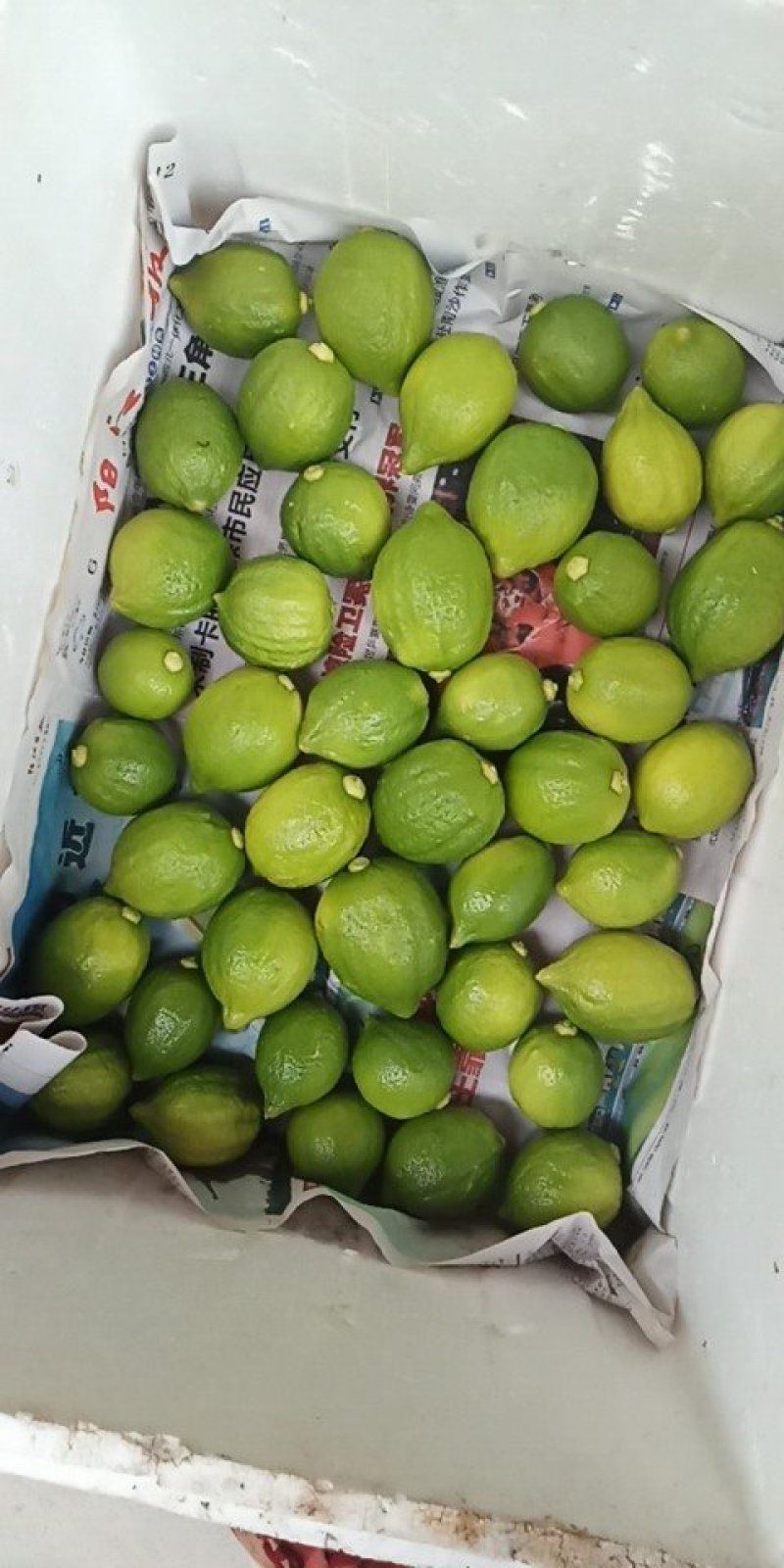 香水柠檬
