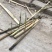香蒲40~60cm