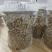 浙江雁荡山铁皮石斛一级枫斗量大从优，欢迎咨询