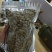 浙江雁荡山铁皮石斛一级枫斗量大从优，欢迎咨询