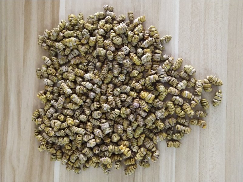 浙江雁荡山铁皮石斛一级枫斗量大从优，欢迎咨询