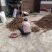 新货