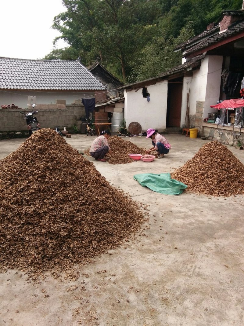 新货