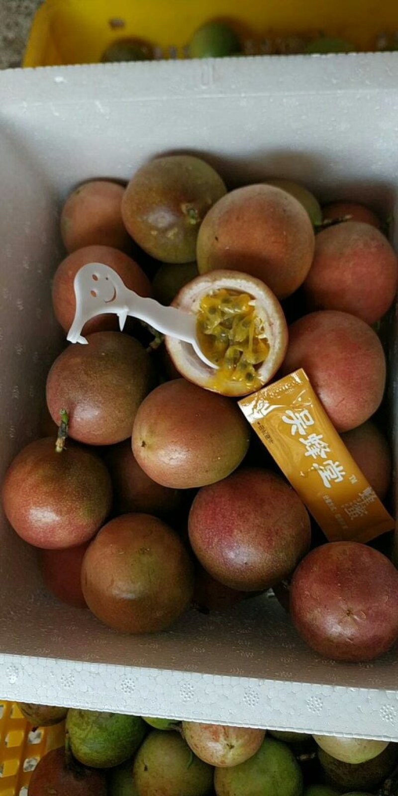 福建广西百香果黄金紫香品种