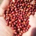 红小豆袋装