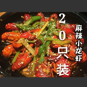 小龙虾藕塘套养4-6钱（20-30克）活虾