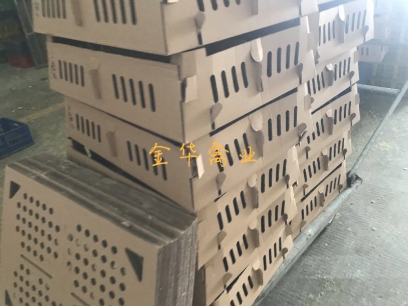 血毛土鸡苗
