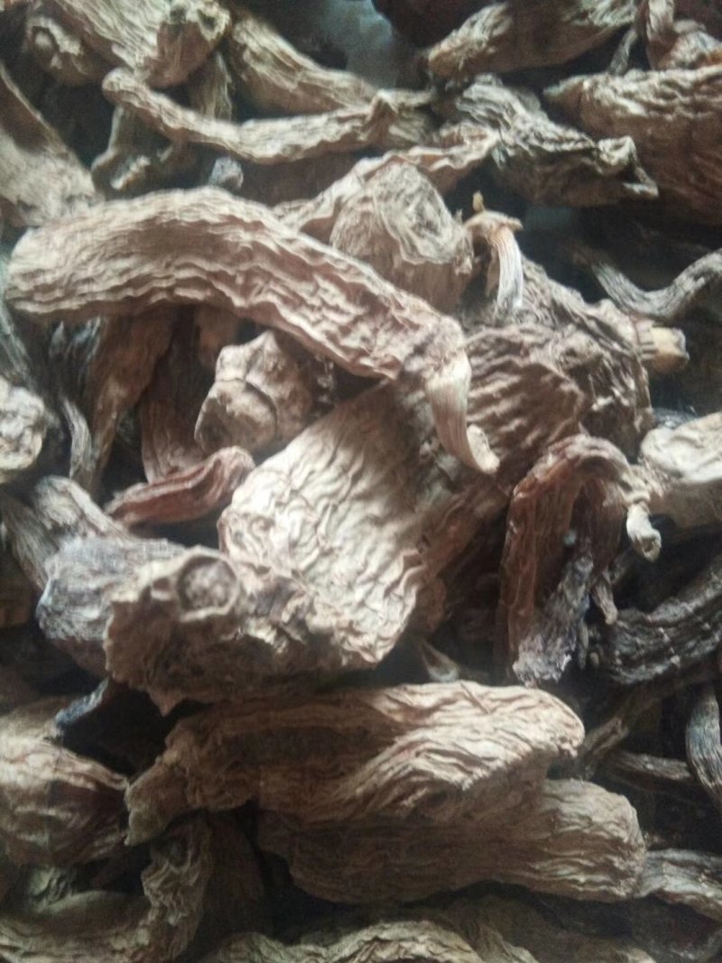 天麻，长白山野生天麻药用价值高，存野生，没有化肥农药，自