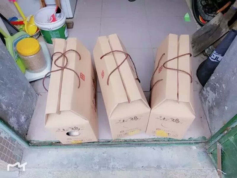 活鸡盒子土鸡包装野鸡包装箱鸭子礼盒活鸡包装盒