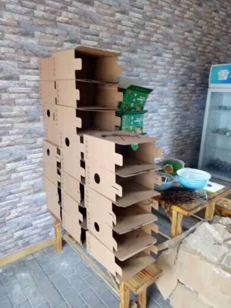 活鸡盒子土鸡包装野鸡包装箱鸭子礼盒活鸡包装盒