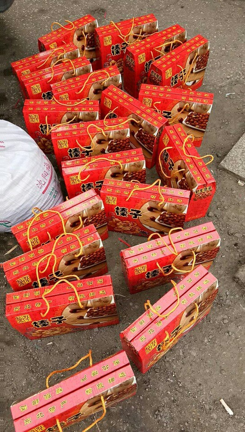 【热卖】开原野生榛子，一手货源，质量好，价格低，大量批发
