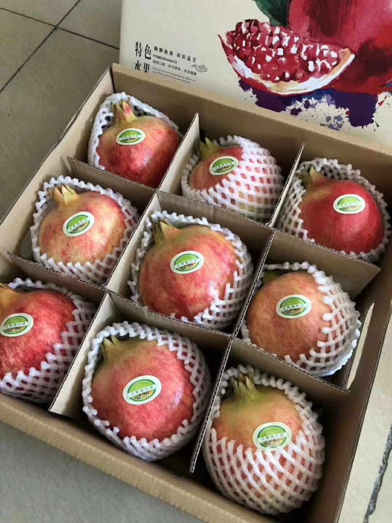 大凉山会理突尼斯软子石榴