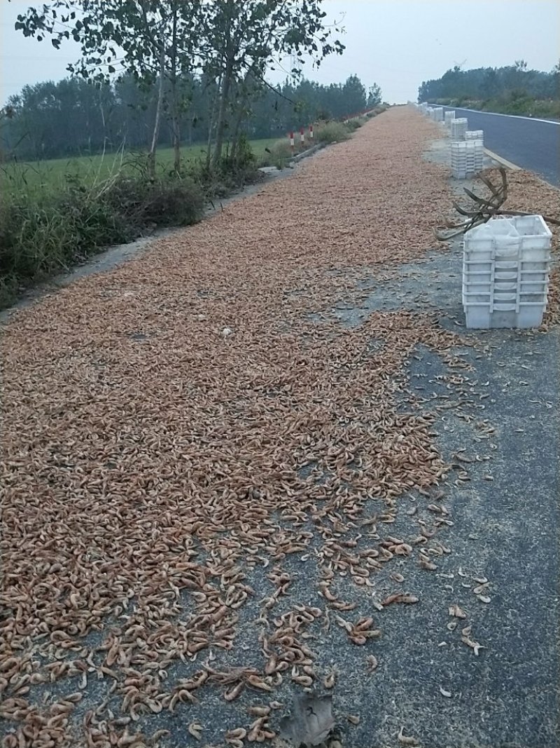 虾干