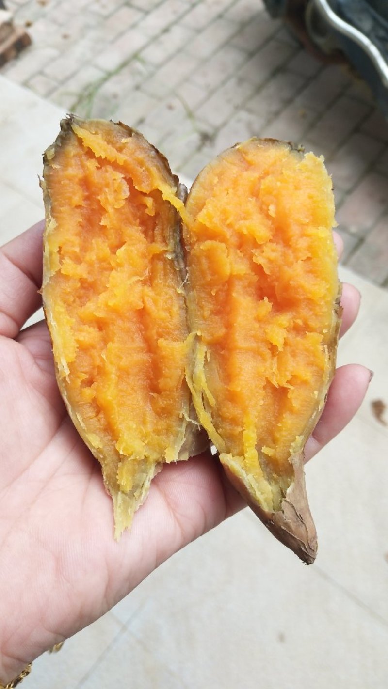 紫云红心薯自种销售2019反季新品