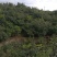 山地出租