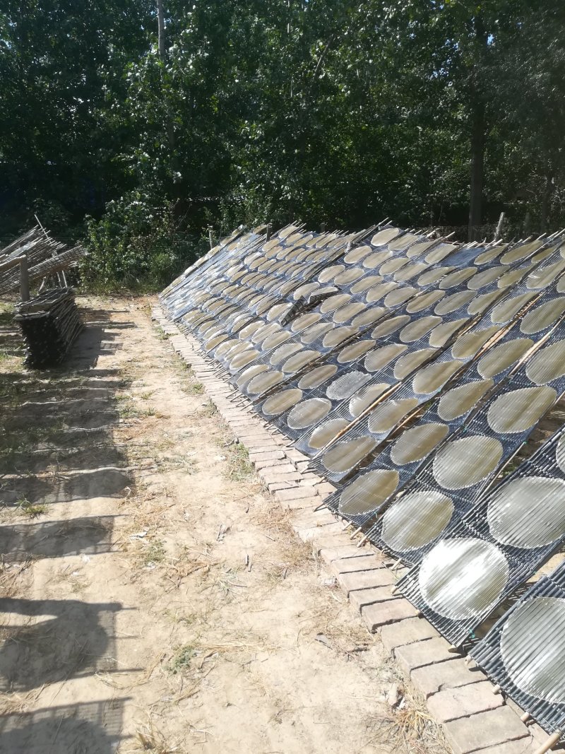 粉条粉皮批发零销