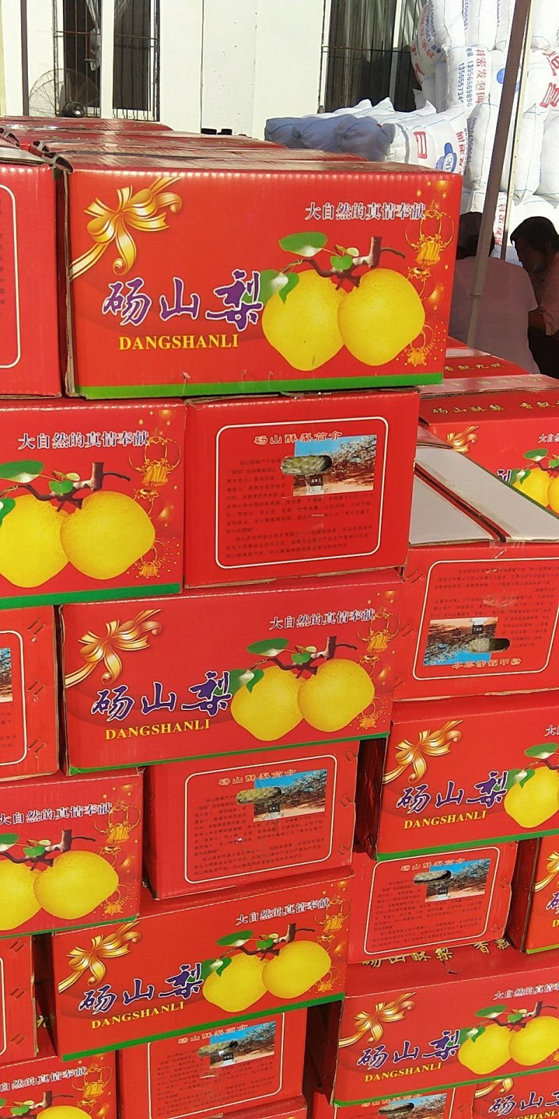 砀山梨