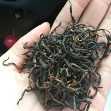 原生态毛尖产地云南普洱