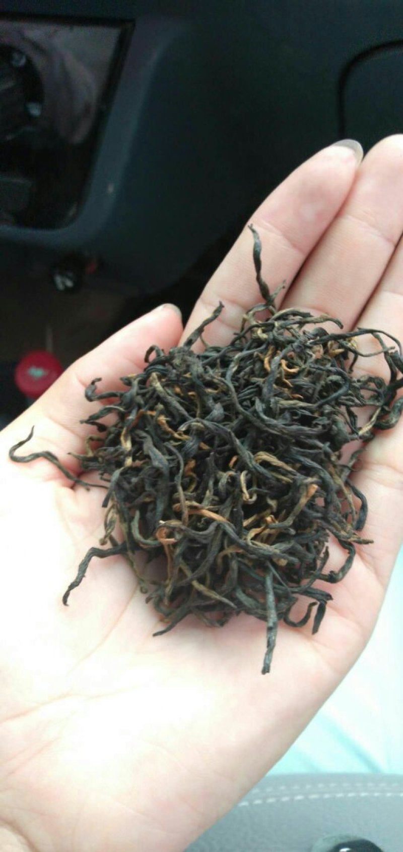 原生态毛尖产地云南普洱