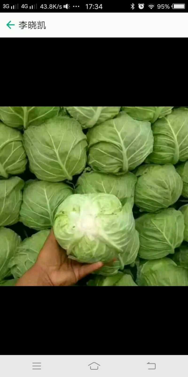精品蔬菜