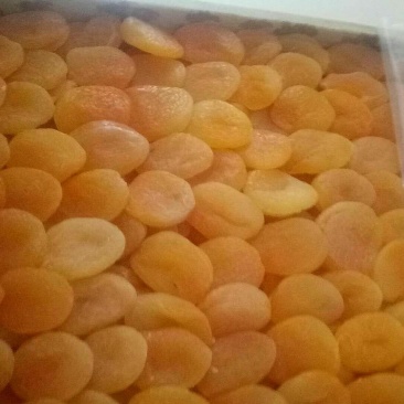 土尔其杏脯