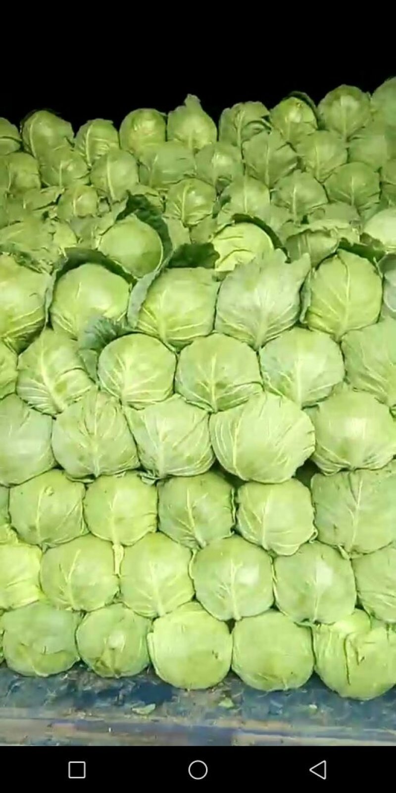 甘兰