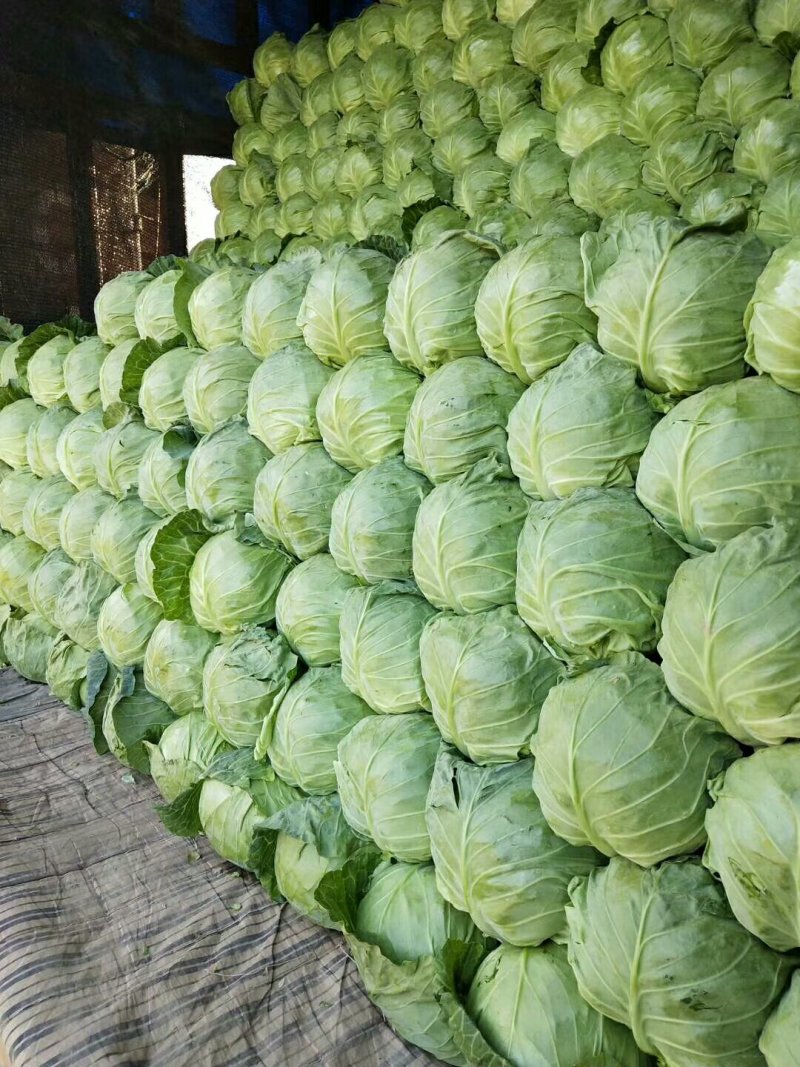 甘兰